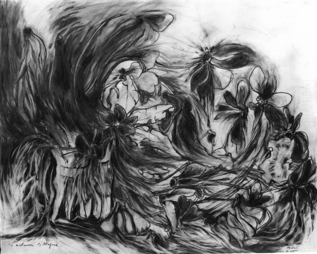 i ciclamini di alagna